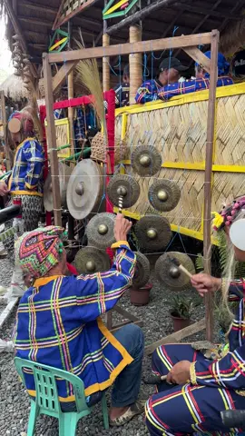 Obu Manuvu music  #kadayawan #kadayawanfestival #kadayawanfestival2025 #fyp #fypage #fyppppppppppppppppppppppp #fypシ゚ #foryou #foryoupage #davao 