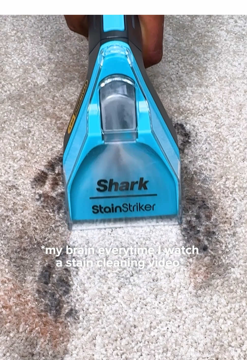 it's an addiction 🫧  #SharkStainStriker #carpetclean #cleaningtiktok #cleaninghacks #carpetcleaning 