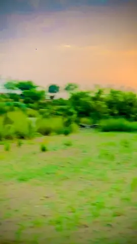 ourbashi star #100kviews #creatorsearchinsights #viralvideo #foryoupage 