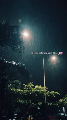 এই শহরে নেই মায়ের মতো, চাঁদ।🌙🌸 #fyp #foryou #unfrezzmyaccount #copylinkplease💗 #iphone13promax #rainday☔️ #cinematic #videography #repost #copylink #likecommentthankyou💞💓 #viral #viwesproblem #chittagong #bangladesh🇧🇩 
