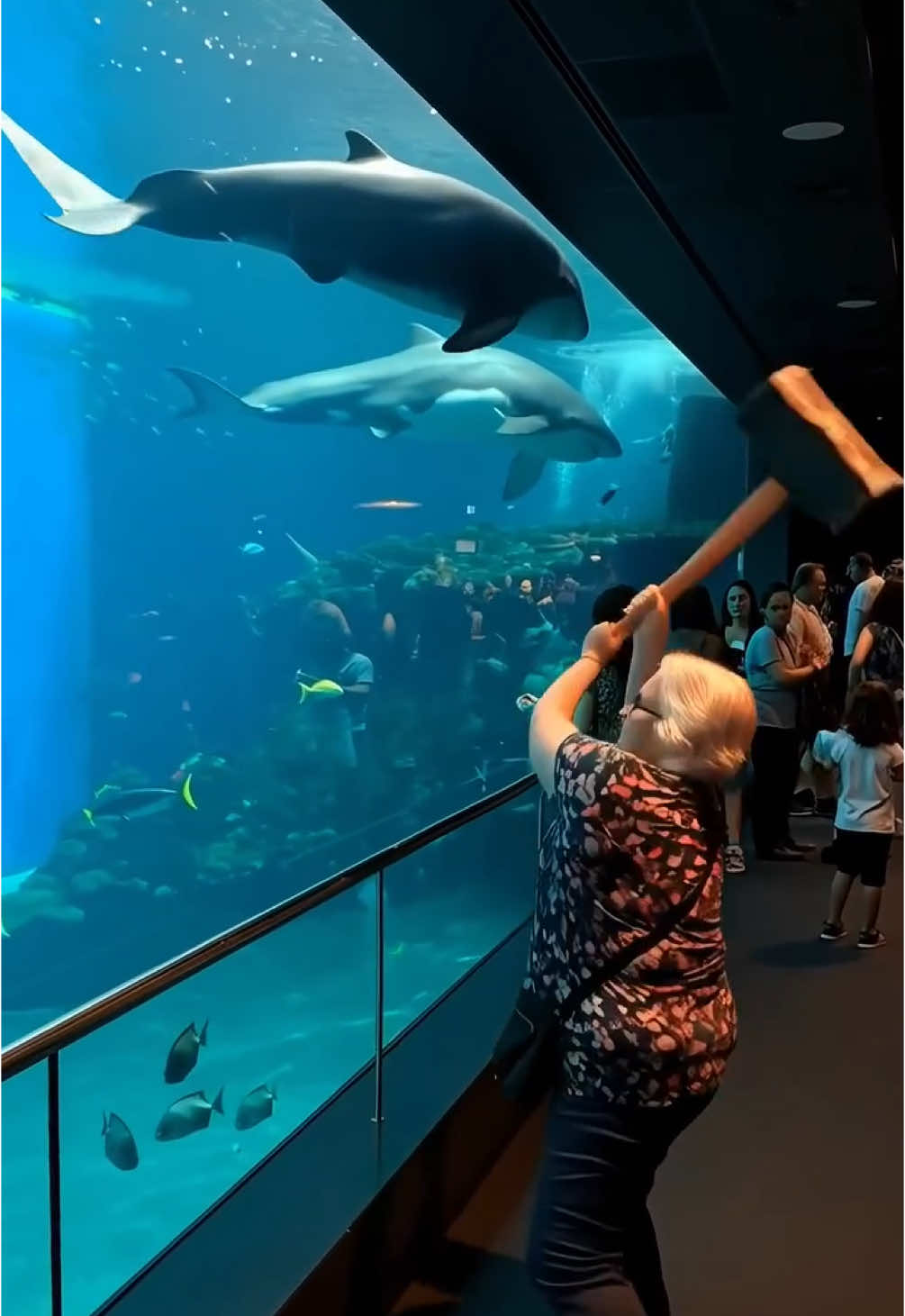 Crazy grandma at #aquarium #shark #wild #grandma 