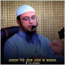 দেয়ালে পিঠ ঠেকে গেলে যা করবেন ? #শায়খ_আহমাদুল্লাহ  #ইলম #foryou #foryoupage #unfrezzmyaccount #shagorsheikh64 