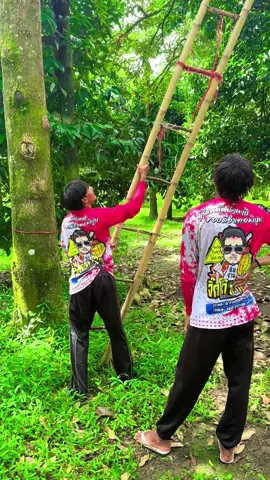 ทุเรียน#พิปูนนครศรีธรรมราช  จิ๊กโก๋ ทำกิน พี่มุข&บังอู๋