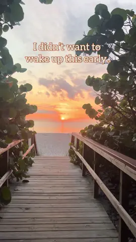 These are summer days I’ll always remember 🐢🧡💛#beachwalks   #sunrisevibes #coastalliving #beachdogs#beachmorning #oceanviews #doglife  