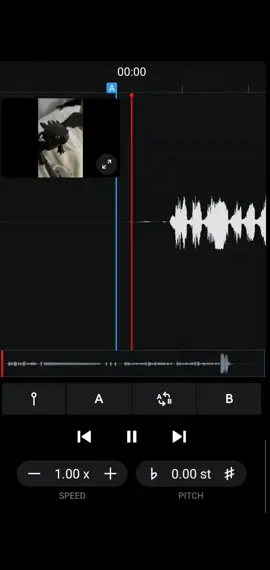 bla bla blu blu #toothless #fyp #audiostretch 