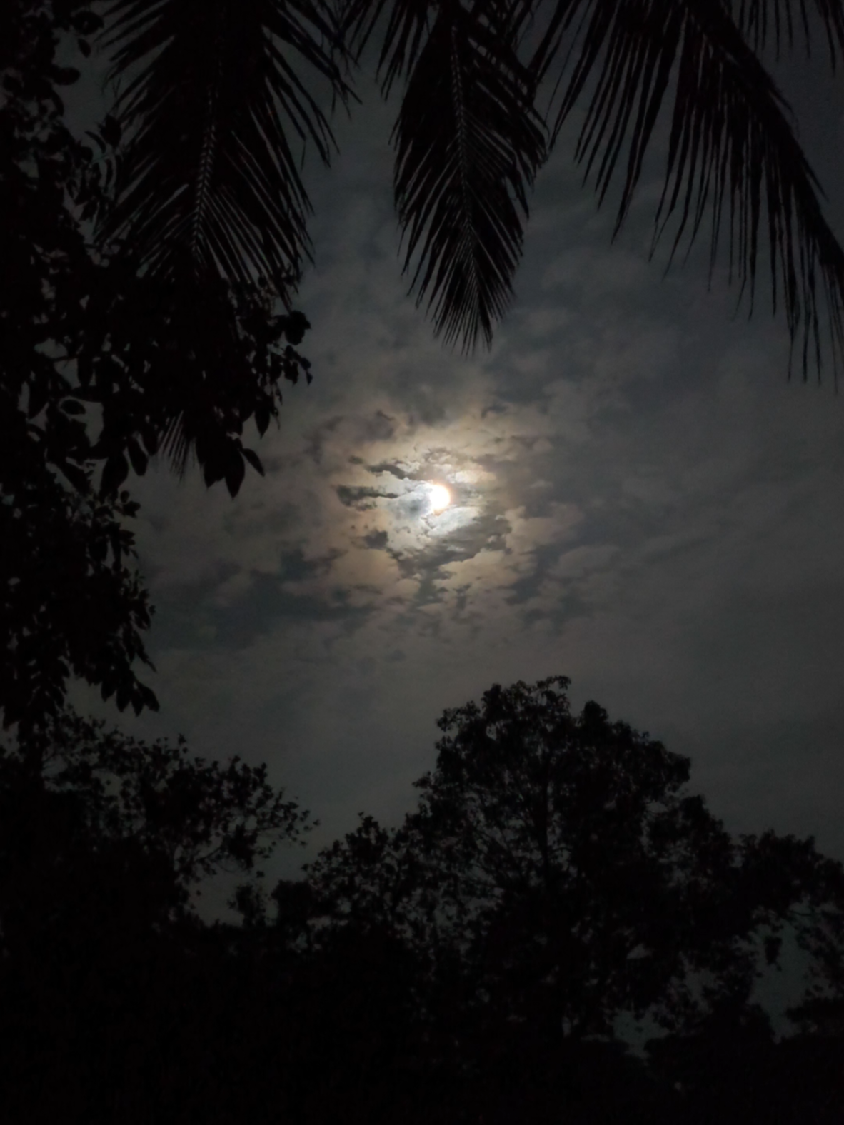 থেমে তো কিছুই থাকে না, শুধু থেকে যায় কিছু মানুষের সাথে কাটানো কিছু স্মৃতি 🙂❤️‍🩹 #foryou #fyp #foryoupage #viral #tiktokofficialbangladesh 