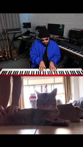 When a cat finishes the lyrics 🤣