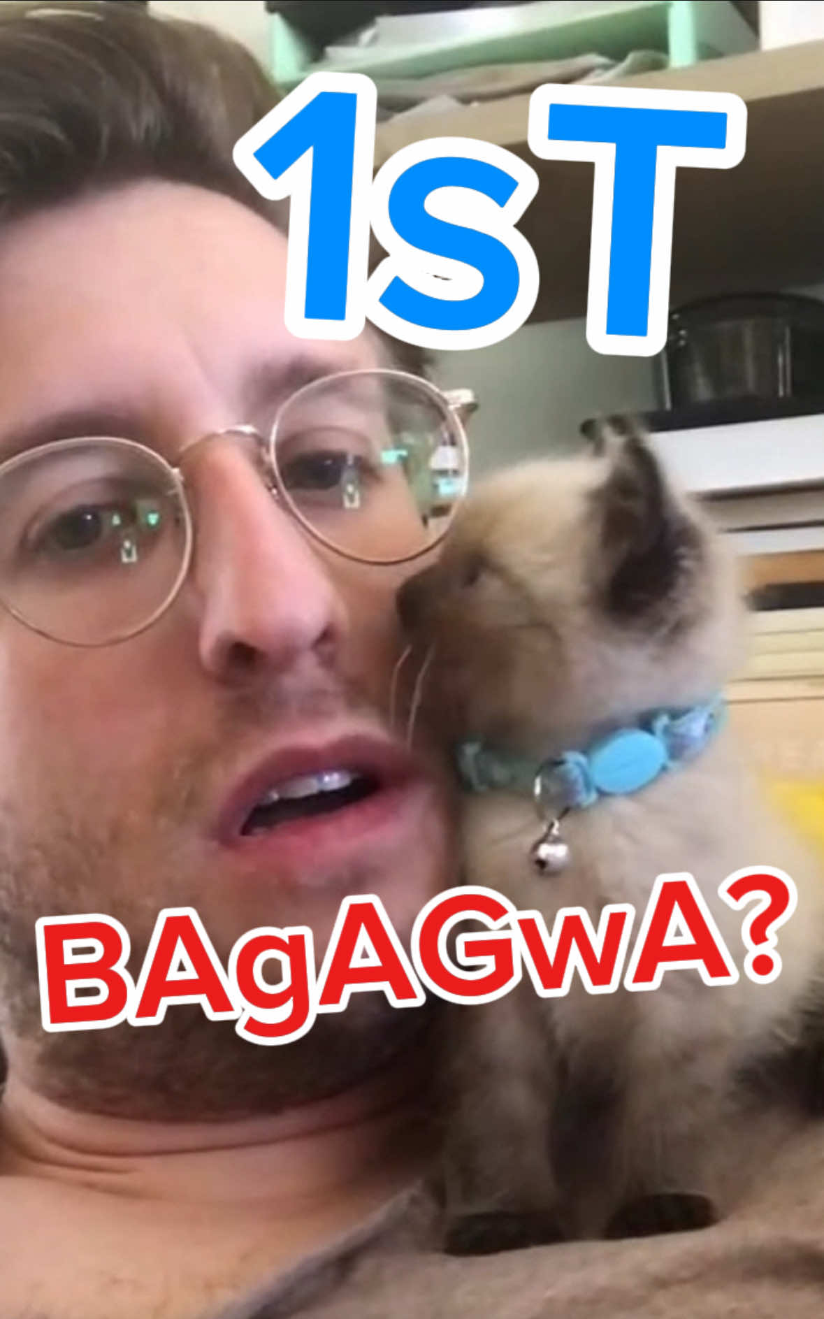 First,BAGAGGWWAA!?!? #adopted!!!! COMMENT TELL  ME WEN U WERE BOrn oR Found??? AND,why lmOa #catsoftiktok #bagagwa #adoptdontshop #Love #kitten