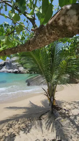Entradas al Paraiso Playa en cabo San Juan, en Santa Marta, Colombia. #playa #Colombia #tayrona #cabosanjuan #caribecolombiano #viaje #naturaleza 