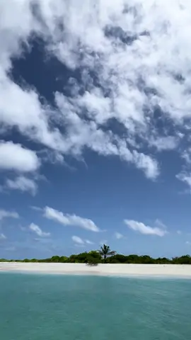#maldives 🌴🩵🥰#dreamdestination #tropicalparadise #bestviews #beachvibes         