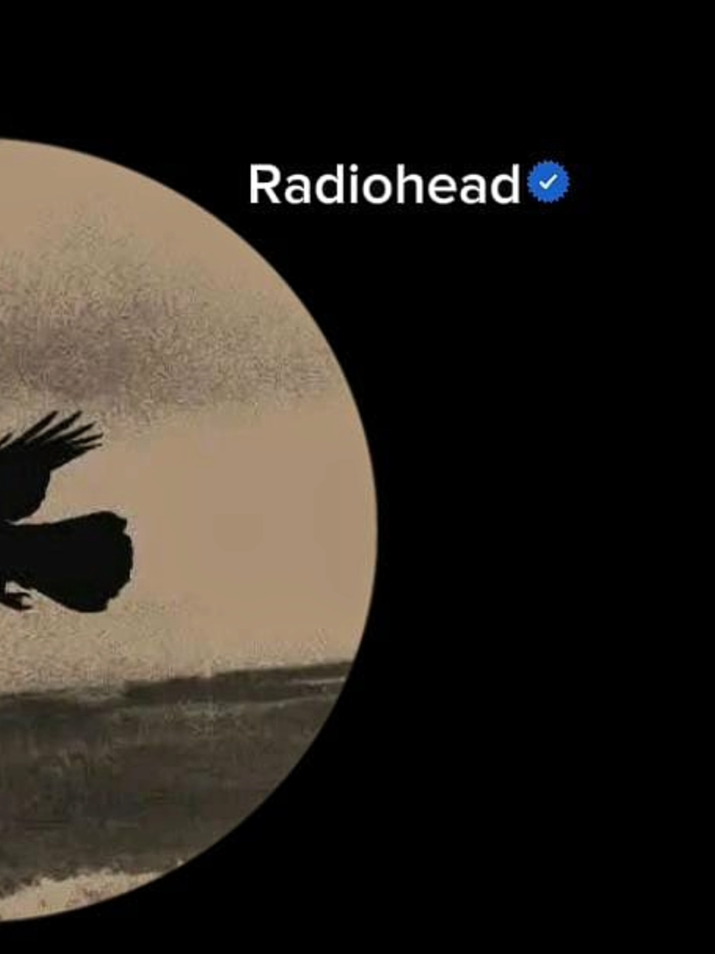 Creep #radiohead #creep #especial #lyrics #fyp #riverasong 