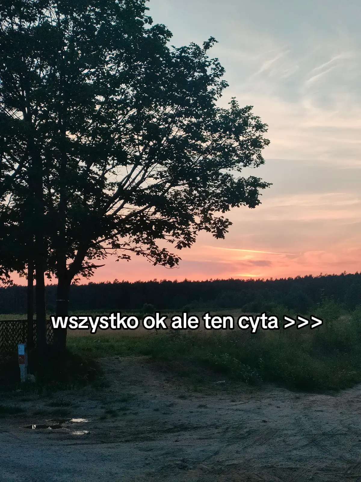 #wdlaciebie #aktywność 