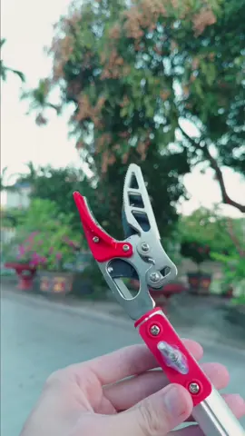 Kéo cắt cành trên cao 