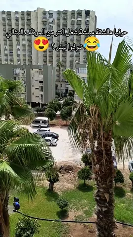 هون الراحة والبحر والمسابح بمكان واحد 🏖️💦 شقق للإيجار بأجمل مناطق مرسين #مرسين #تركيا #شقق_للإيجار #شقق_مرسين  #سياحة #سفر #عطلة #شاطئ #مسابح #إطلالة_بحر #عقار #مسكن #عطلة_صيف #مرسين_تركيا #شواطئ_تركيا #رحلات #مسابح_على_البحر #تركيا_سياحة #سياحة_البحر