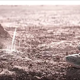 Tell the story of “Gold”from first-person perspective #edit #movie #movieclips #movies #filmtok #film #movietok #fyp 