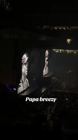 This clip was so beautiful #breezybowl #chrisbrownconcert #chrisbrown 