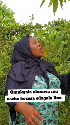 Ekikookooma dagala nyo ku mukyala alumwa mu nseke#enseke #edagala #fyp #foryou #foryoupage #fyppppppppppppppppppppppp #nalongokirungo 