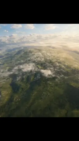 #animalsoftiktok #viral 