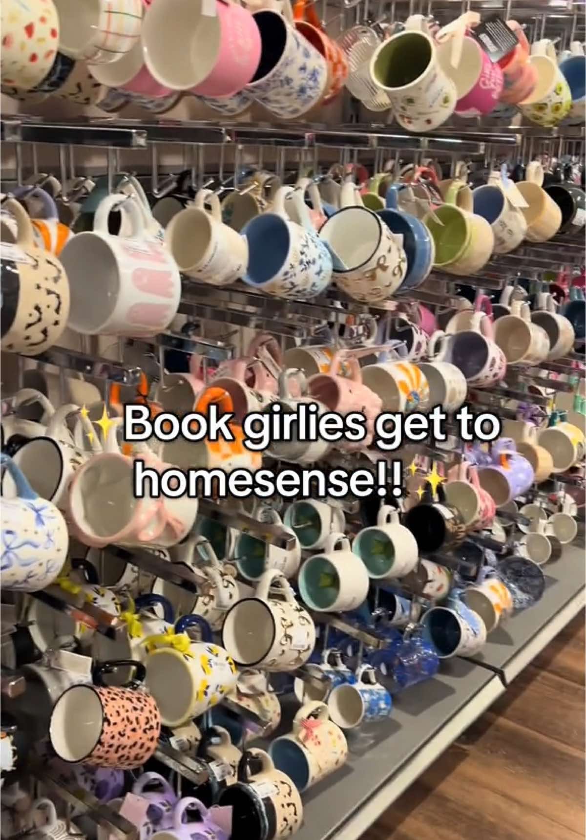 RUN don’t walk!! Also all the spooky season stuff is in! #book #BookTok #bookish #homesense #bookworm #bookmug #tkmaxx 