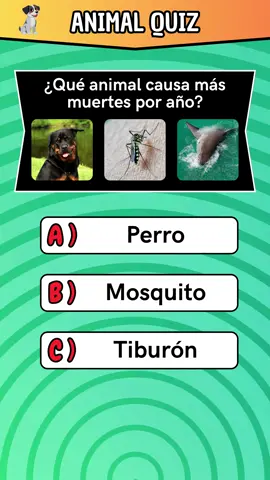 Animal Quiz! #quiz #animal #animals #preguntasyrespuestas #LearnOnTikTok #quiztime 