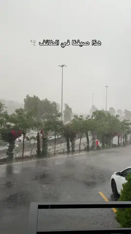 اجواء الطائف في اغسطس 🌧️☔️#الطايف_الان #مطر 