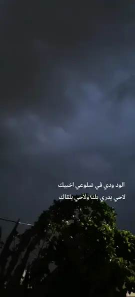 #مساء_الخير #لايك#اكسبلورر#🤍 