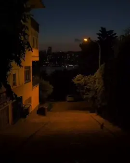 Yousaf Poche Das Zulaykha🍂🌸👀.... Repost Request 🙌. . . . . . . . . . . . . . .#capcut #inshot #lyricssong #asthetic #viralvideo #slowmotion #unfreezemyaccount #growthmyaccount #foryou 