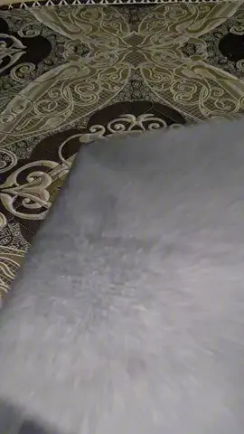 POV berangkat mt an🤗