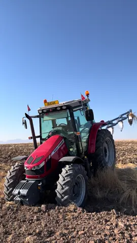🧿 #çalapverdi #budaktarım #masseyferguson5430 #5430 #kesfet #ciğerpower #ciğerpower #fypシ゚viral 