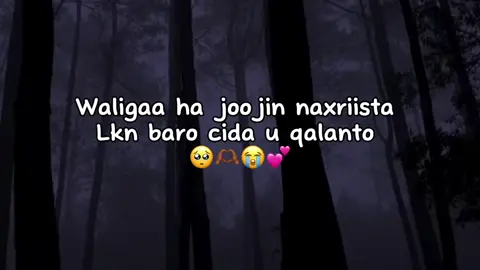 Sida saxda ah 🤍soomaali_tiktok🇸🇴🇸🇴 #fyppppppppppppppppppppppp #capcut 
