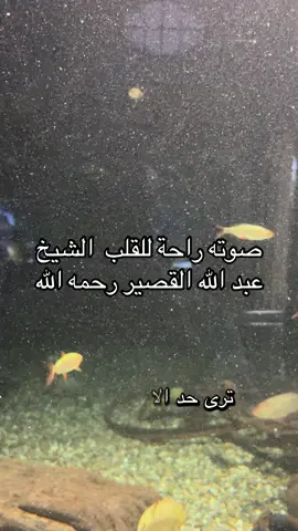 دعاء عضيم الشيخ عبد الله القصير رحمه الله.