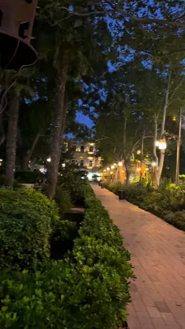 Random Shorts Baku🇦🇿 #baku #first #firstvideo #foryoupage #skynextravles #viral #tourism #azerbaijan #lights #bakunight #