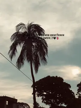 -❤️‍🩹- #fypシ゚ @billal7011 @TikTok Bangladesh 