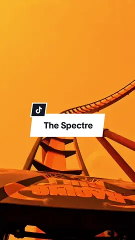 Who would you ride this with? 👀 #songlyrics #thespectre #alanwalker #rollercoaster 
