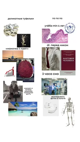 легких путей не ищем!  присоединяйся в тгк: katenok🐈‍⬛ #мед #med #врач #пспбгму #студентмедик #медицина #пспбгмуименипавлова #павлова #учеба  #анатомия #медицинский #сзгмумечникова #спбгпму #сеченова #пирогова #рниму #лечебноедело #medicine #med#beauty #medicalstudent #medical #medicaluniversity #doctor #хирургия  #скораяпомощь #питер #санктпетербург #stpetersburg #omsk #омск  