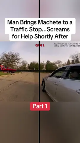 Man Brings Machete to a Traffic Stop...Screams for Help Shortly After #cops #police #policeofficer #copsoftiktok 