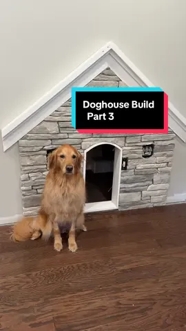 Doghouse build, part 3!  This round, we wired up Teddy’s Ring doorbell cam, prepped the outdoor lights, and added the stone to the house. It was a long, detailed process… but now the real fun begins. In part 4, we’re adding a chimney that actually smokes, installing Teddy’s doorbell and outdoor lights, and finishing it all off with some final touches..including the big reveal of his new doormat. You’re not gonna want to miss this one! #doghouse #aguyandagolden 