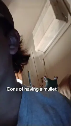 #mullet #mulletsoftiktok #viral #fypシ #ballz 