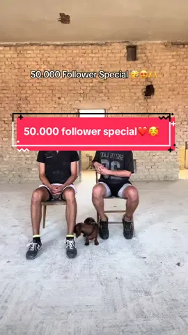 50.000 Follower Special!😍 Zugällig auch das 50. Video von uns🥳 Heute gibt es mal ein Recap zu den Ereignissen der letzten Monate, leider müssen wir das ein oder andere wegschneiden, da die Videos sonst zu lange werden. Aber ihr könnt alles auf unserem Profil nachschauen❤️ Danke für 50.000 Folllower!!!! Danke dass ihr unsere Videos immer durch Likes, Reposts und Kommentare so fleißig unterstützt☺️ #renovierung #sanierung #alteschule #vorhernachher #50k 