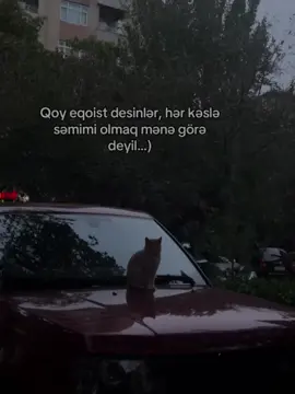 #keşfett#beyenöneçıkartt#