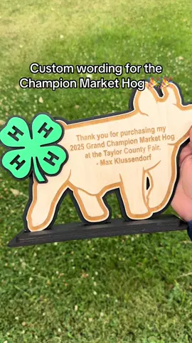 Congrats to Max on his big win!! #livestockshow #countyfair #stockshow #4H #livestock #showmom #livestocklife 
