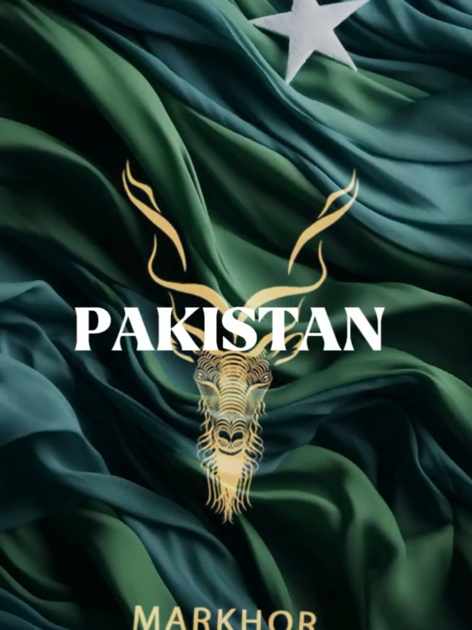 14 August 2025 - Coming Soon - Happy Independence Day - Pakistan Youm-e-Azaadi #pakistan #pakistanindependceday #14august #pakistanzindabad #14augusttemplate #trending #trendingtemplate #newtemplate #video #account #viral_video #TikVerse #viral #foryou #grow #dontunderreview #pakistani_tik_tok #pakistani #markhor 
