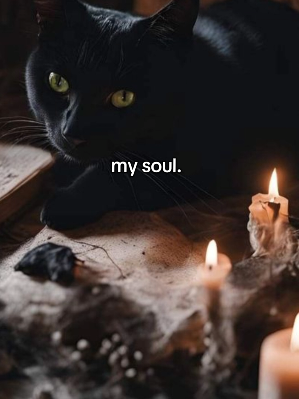 My kind of vibe 🖤🖤 #darkaesthetic #darkromance #gothicstyle #gothicaesthetic #darkacademiaaesthetic #witchvibes #gothic 