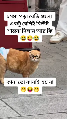 #fouryoupage funny video 😂😂😂