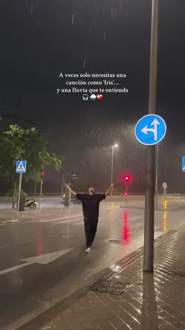 Lluvia + Iris = ❤️‍🩹✨ #lluvia #irisgoogoodolls #nostalgia #sanar #parati  @Goo Goo Dolls 