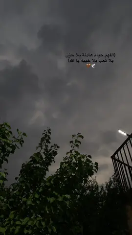 🤎🕊️…