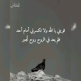 #ابي #للعقول_الراقية_فقط🤚🏻💙 
