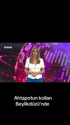 Ahtapotun kolları Beylikdüzü’nde  #balıkçıkenan #ekremimamoğlu 