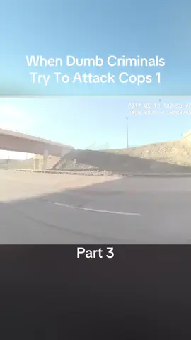 When Dumb Criminals Try To Attack Cops 1