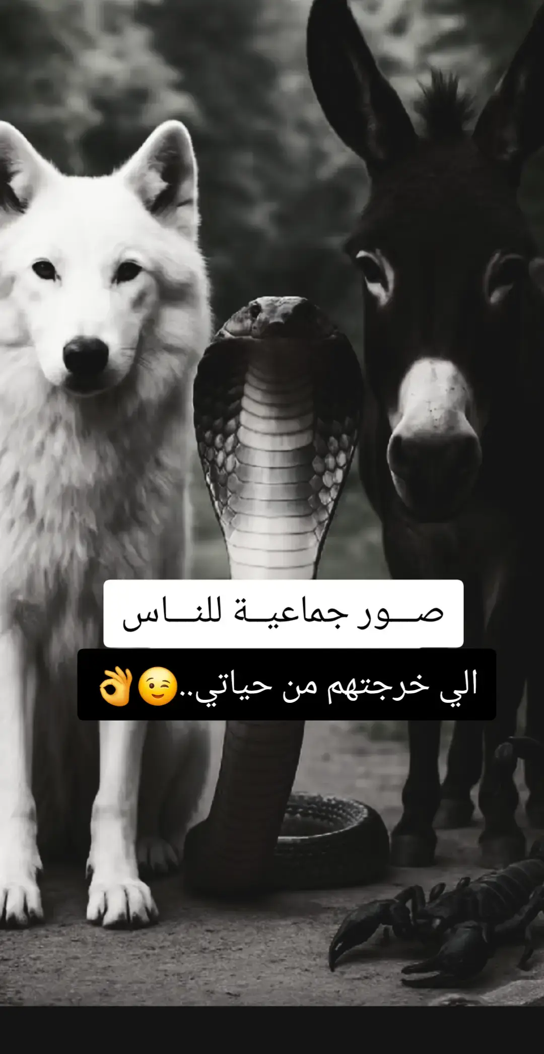 #creatorsearchinsights #تصميم_فيديوهات🎶🎤🎬 #عبارات_جميلة_وقويه😉🖤 #خربشات #الاسطورة 
